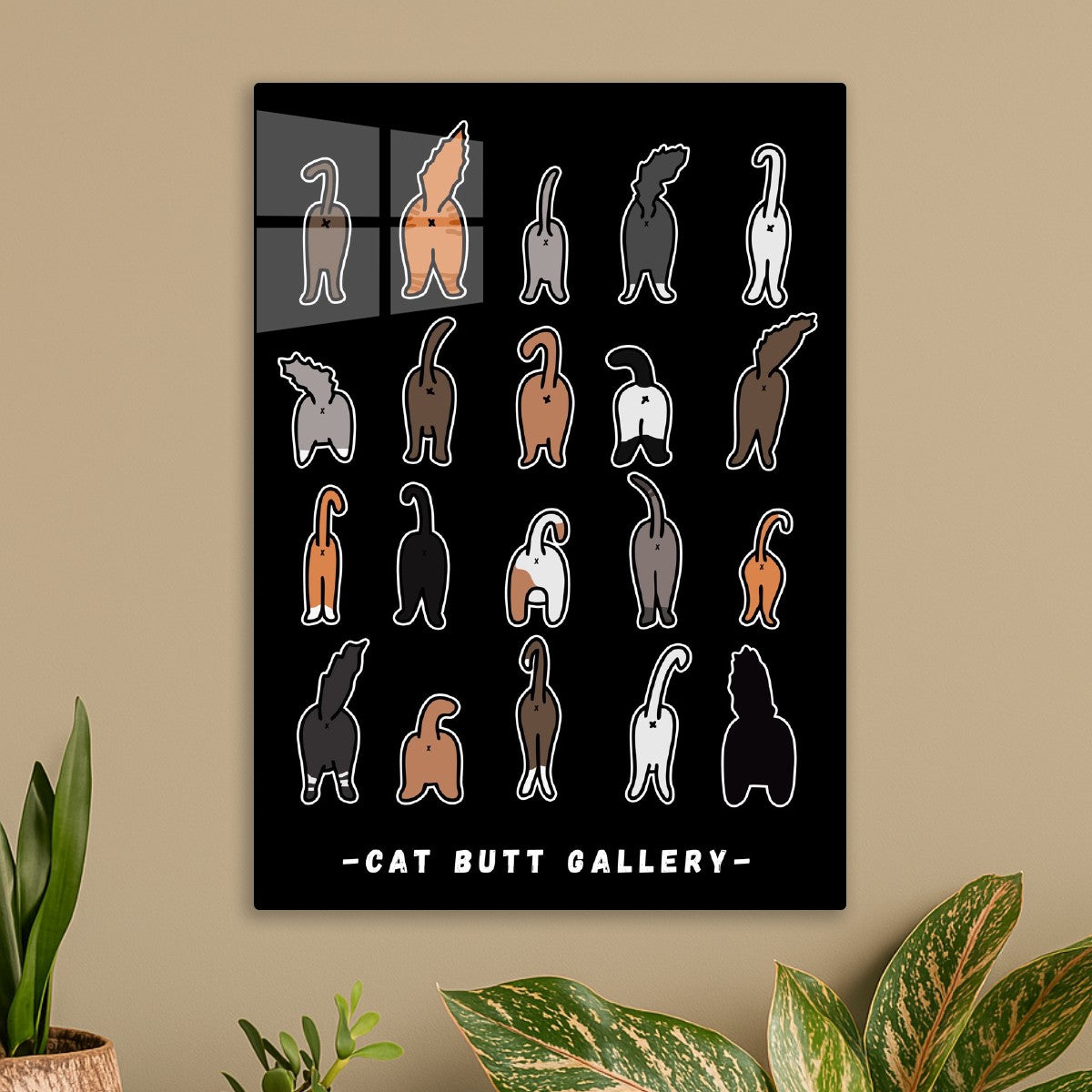 Cat butt gallery , black background