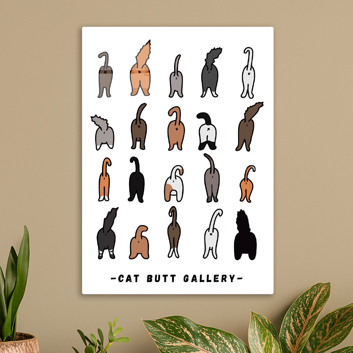 Cat butt gallery , white background