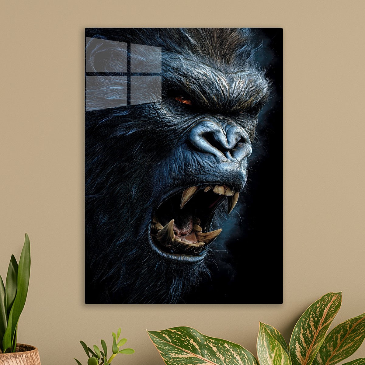 Gorilla Territirial Display