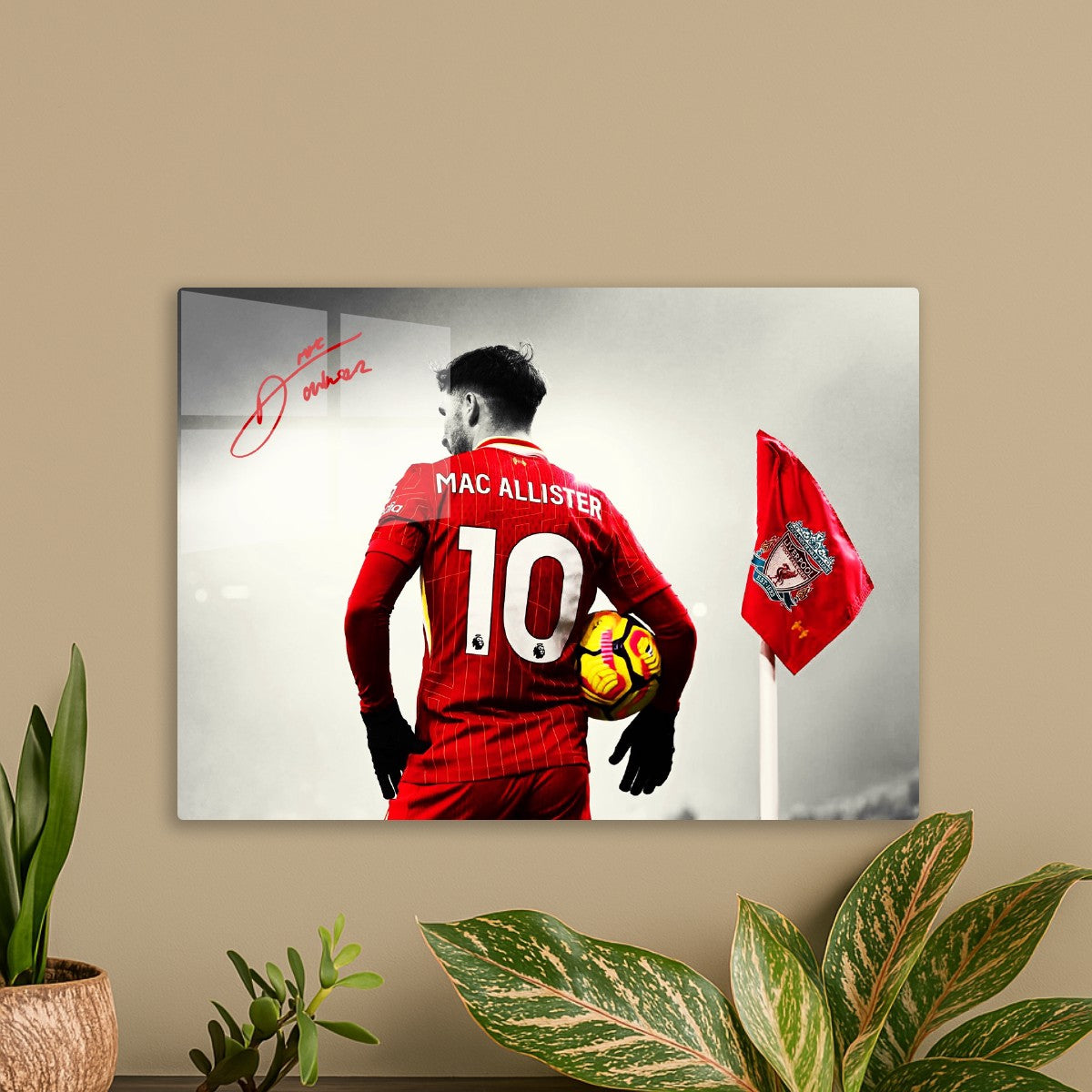 Alexis Mac Allister, Liverpool