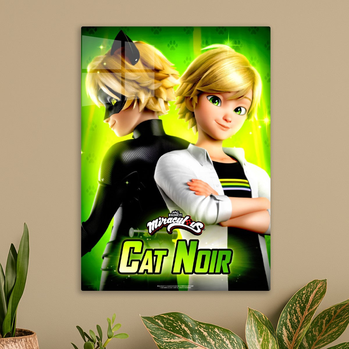 Miraculous: Tales of Ladybug and Cat Noir