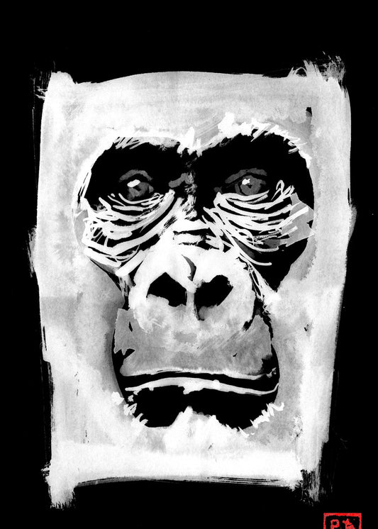 Gorilla in white