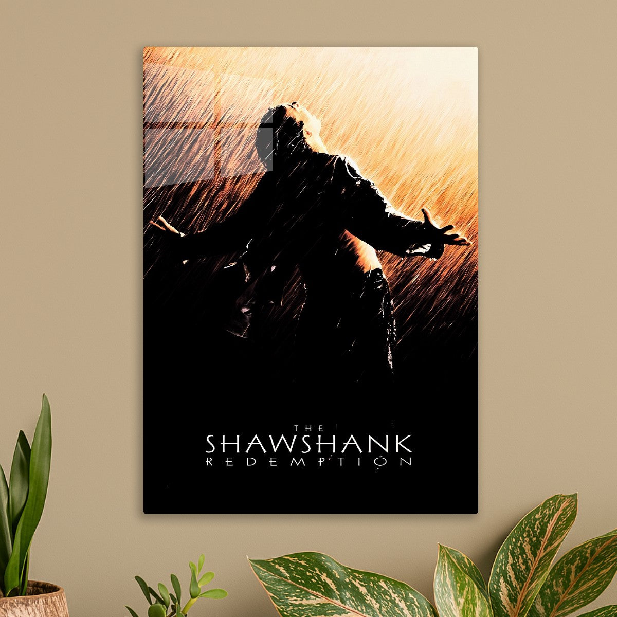 The Shawshank Redemption