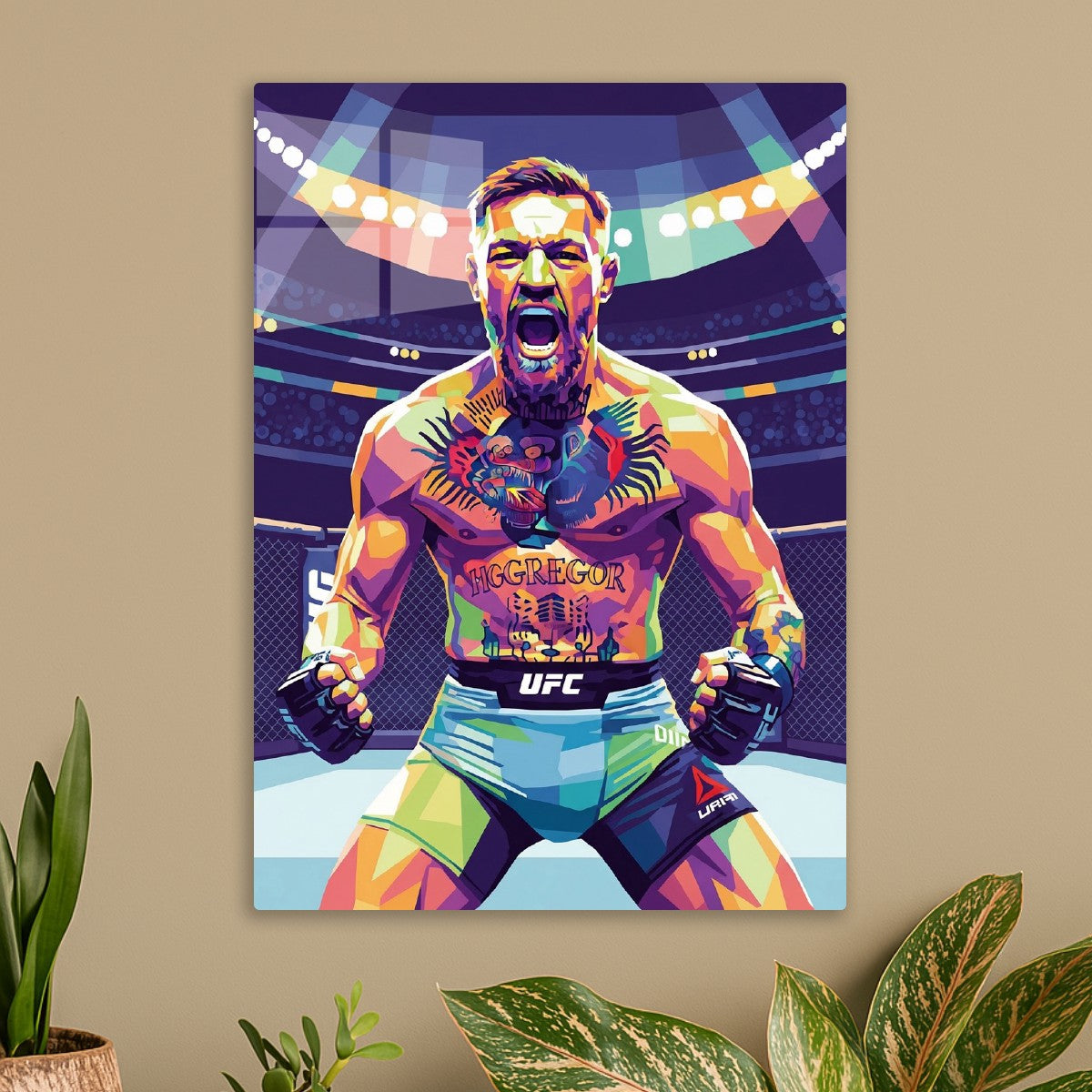 Conor McGregor UFC fighter
