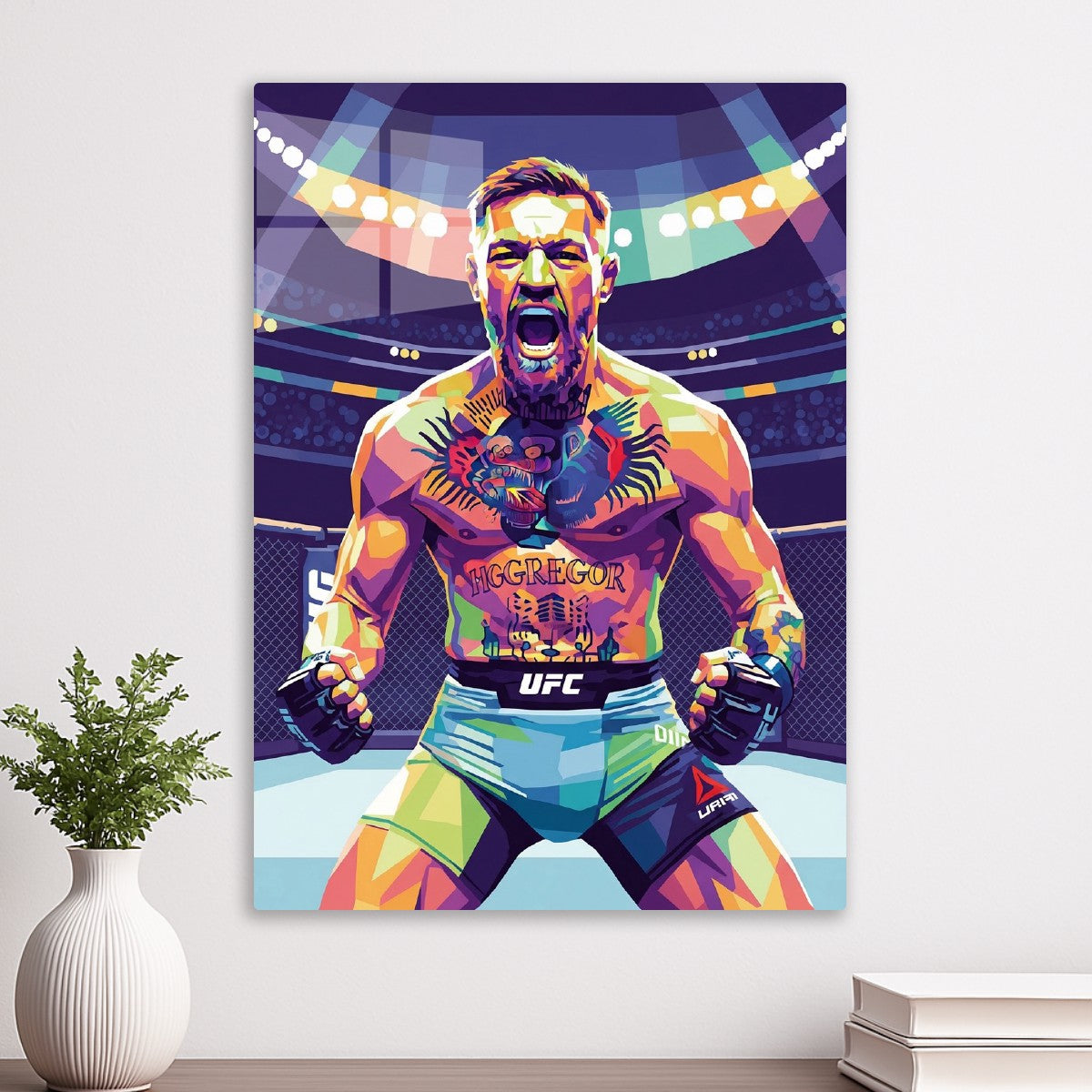 Conor McGregor UFC fighter