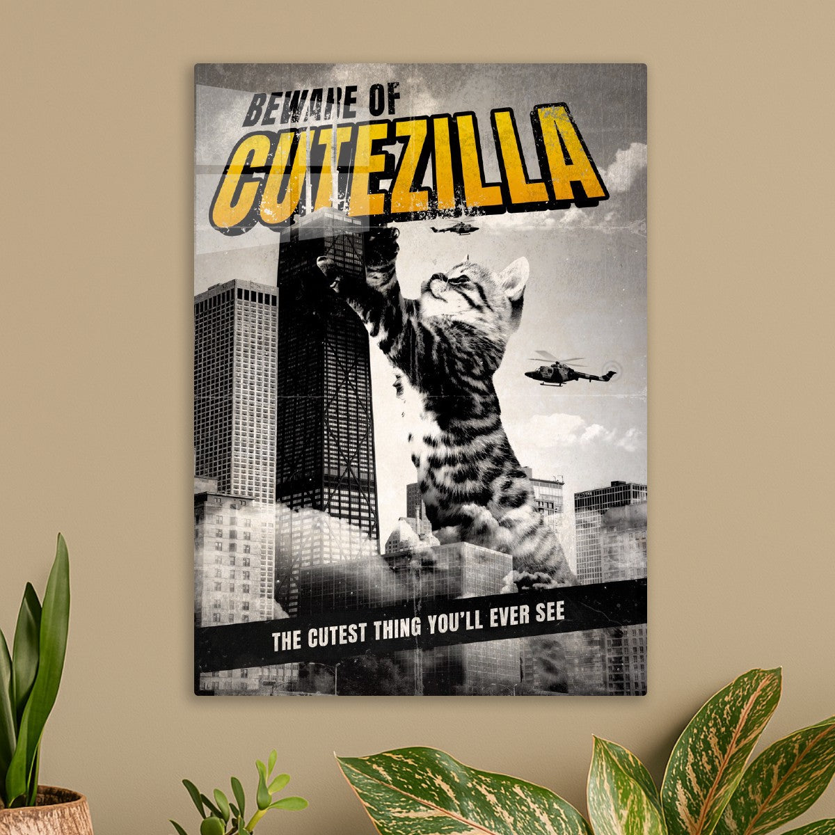 Cutezilla