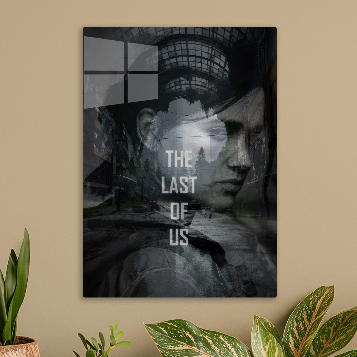 the last of us