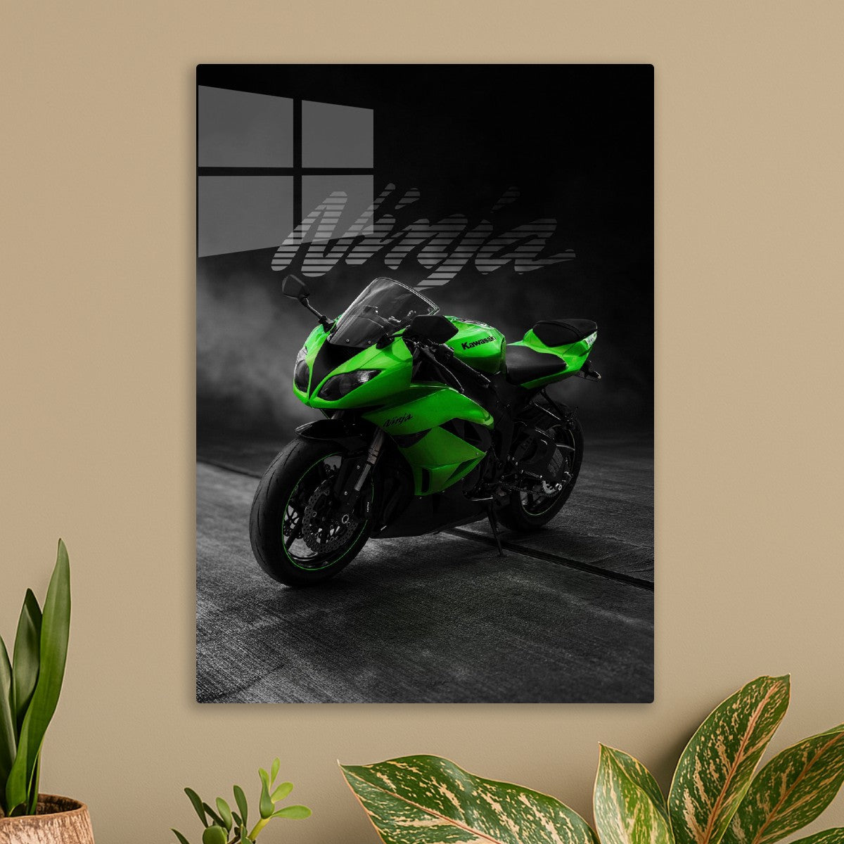 Kawasaki Ninja Rear