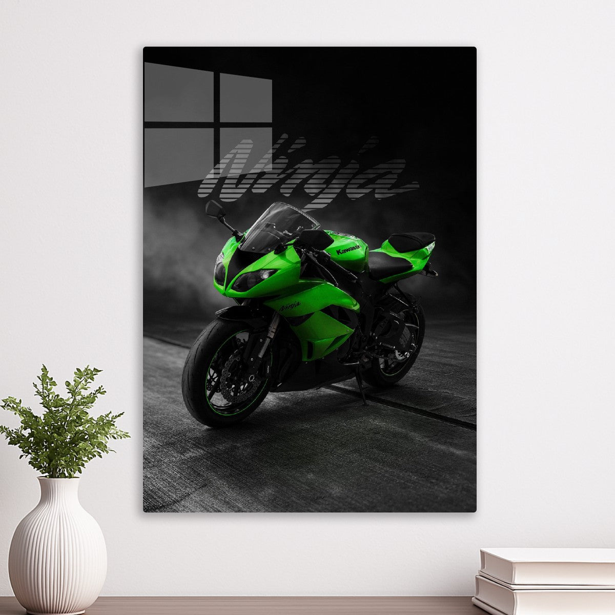 Kawasaki Ninja Rear