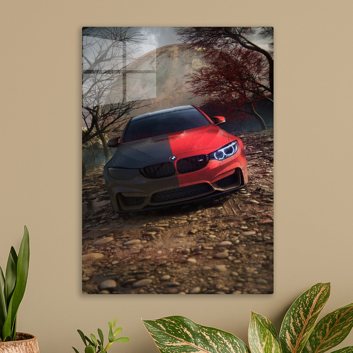 BMW M4 Duality 