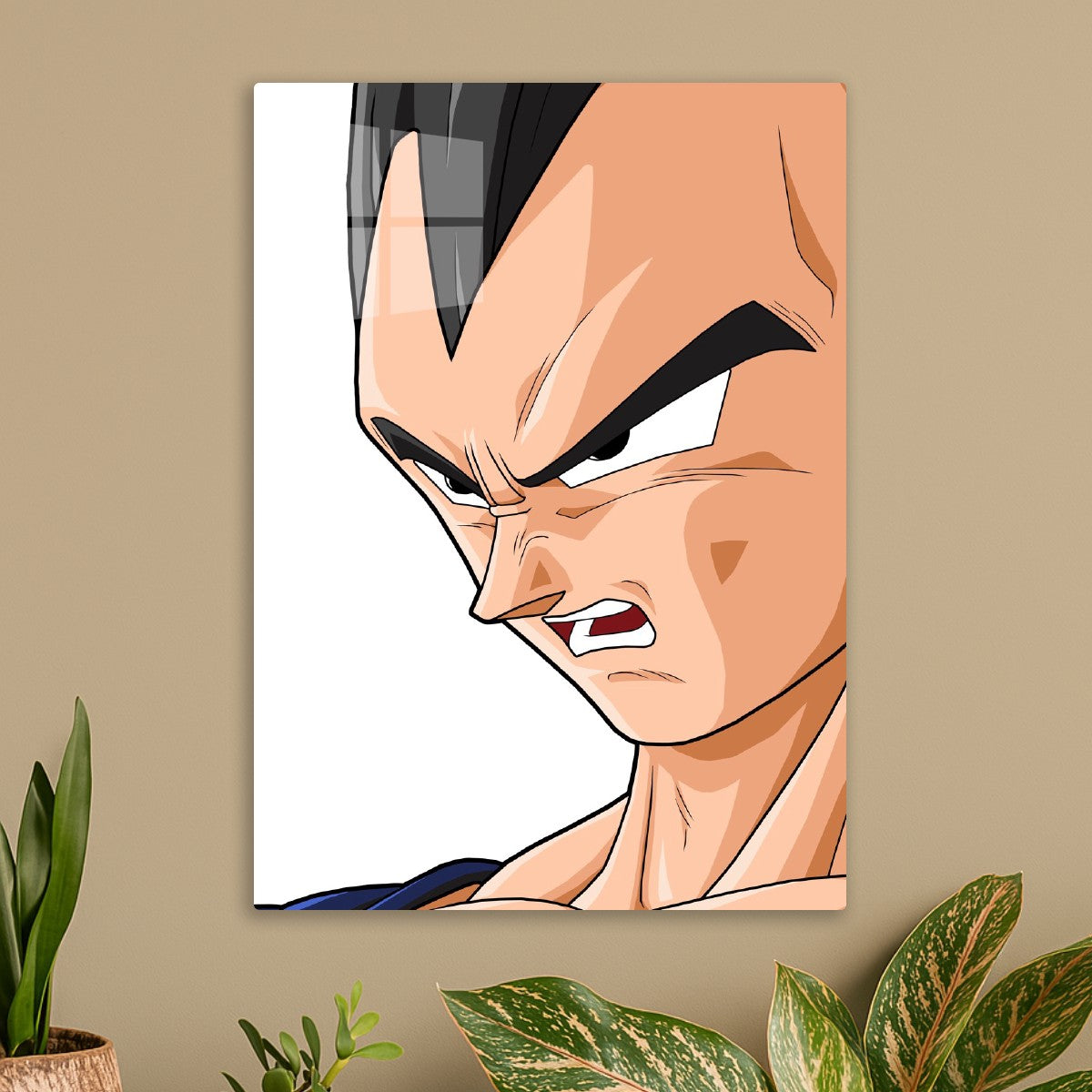 Vegeta DragonballZ