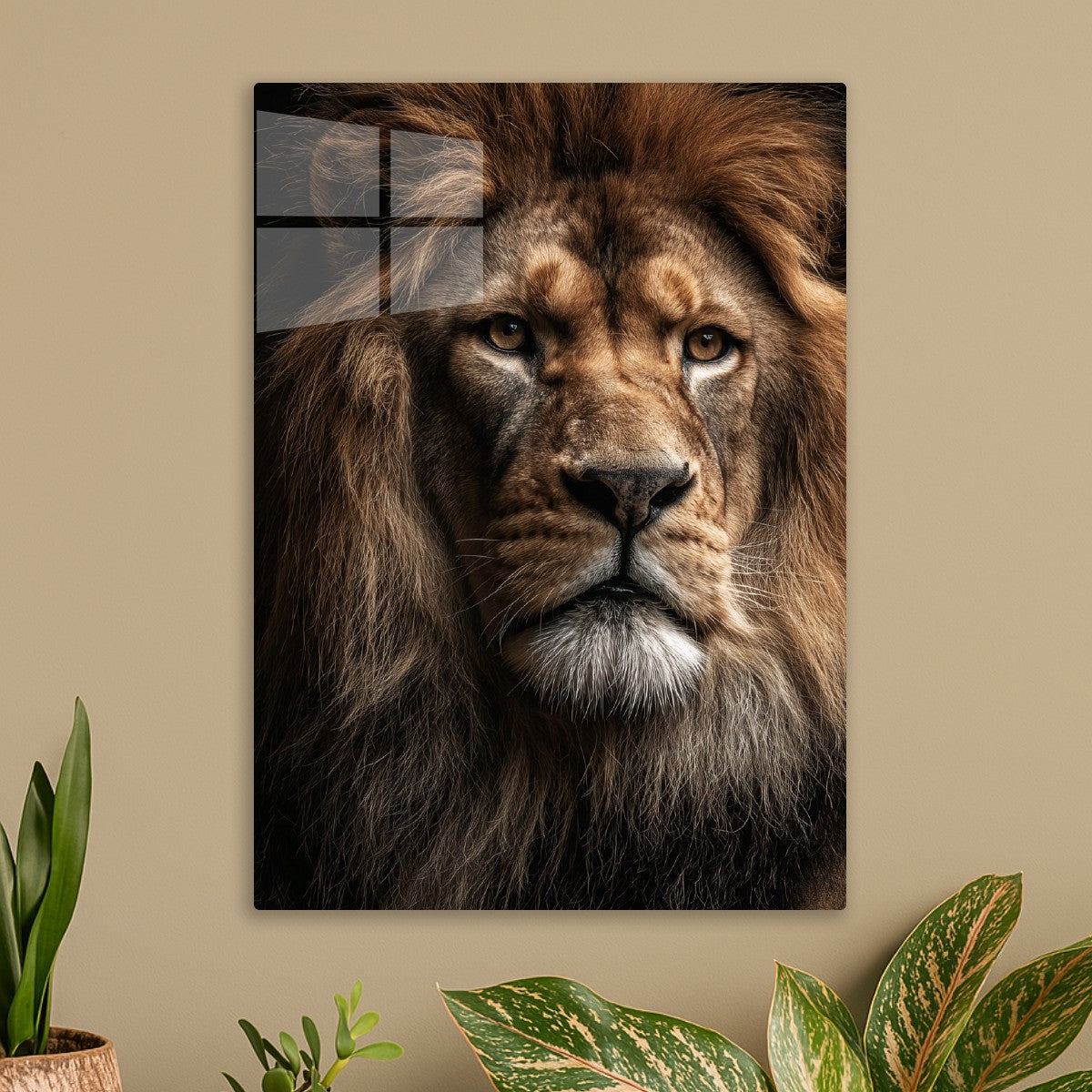 Lion, The King Of The Wild