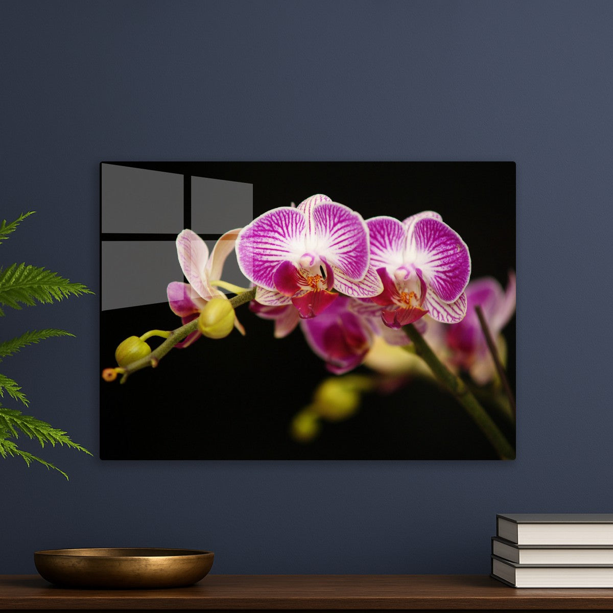 Vibrant Pink and White Orchid 