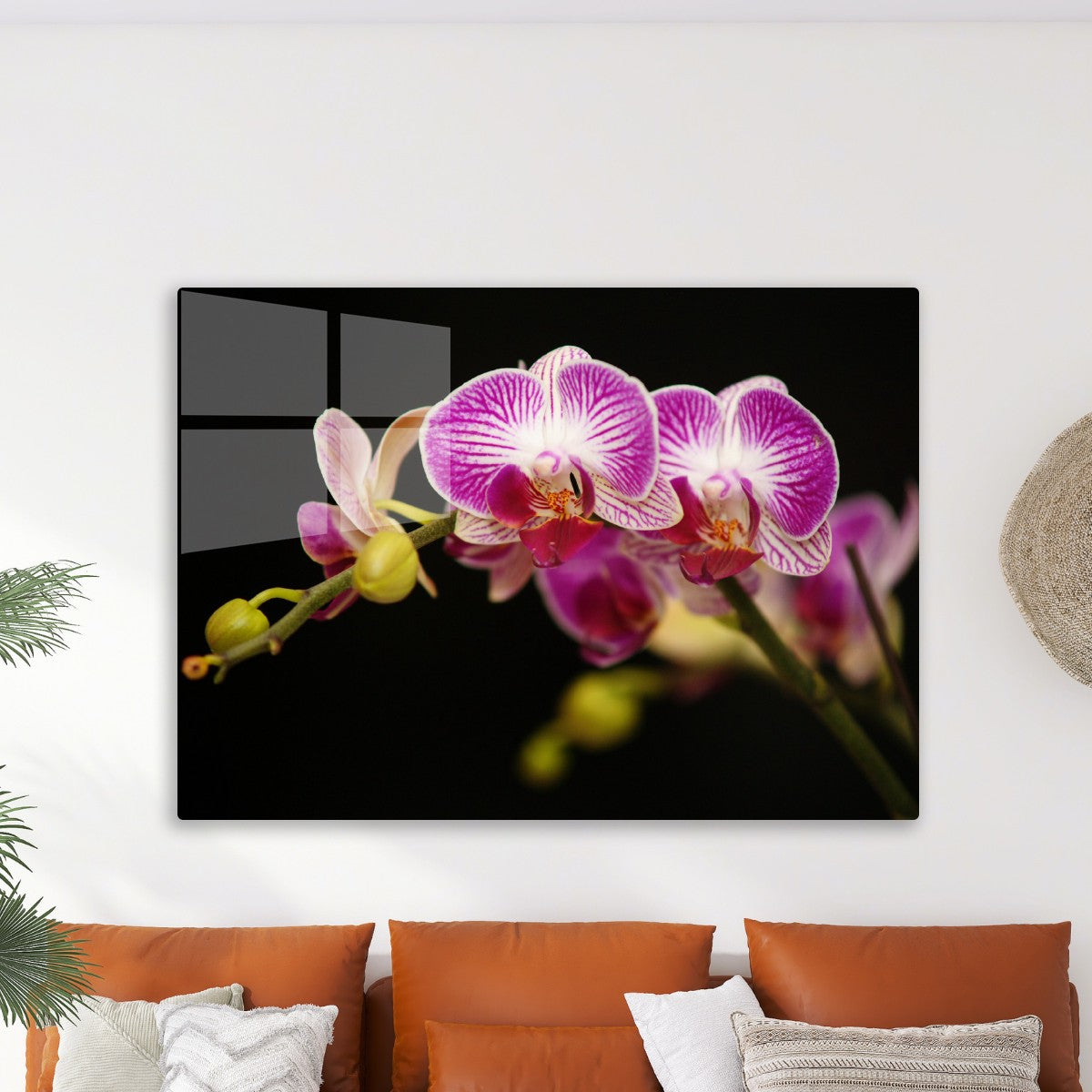 Vibrant Pink and White Orchid 