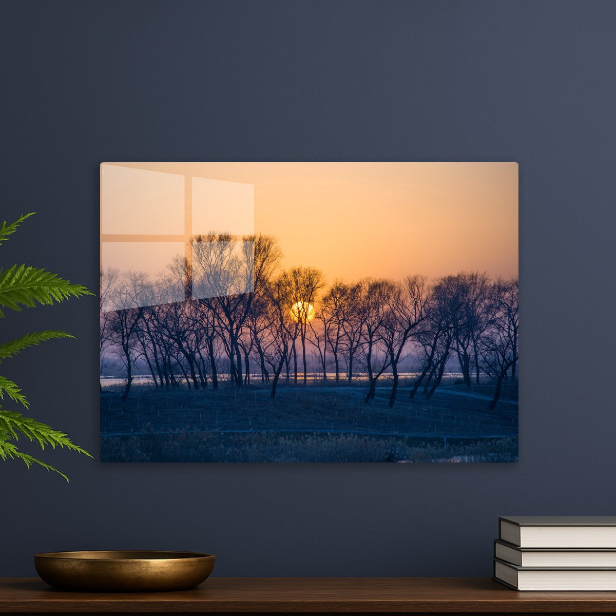 Winter Sunset Through Trees
