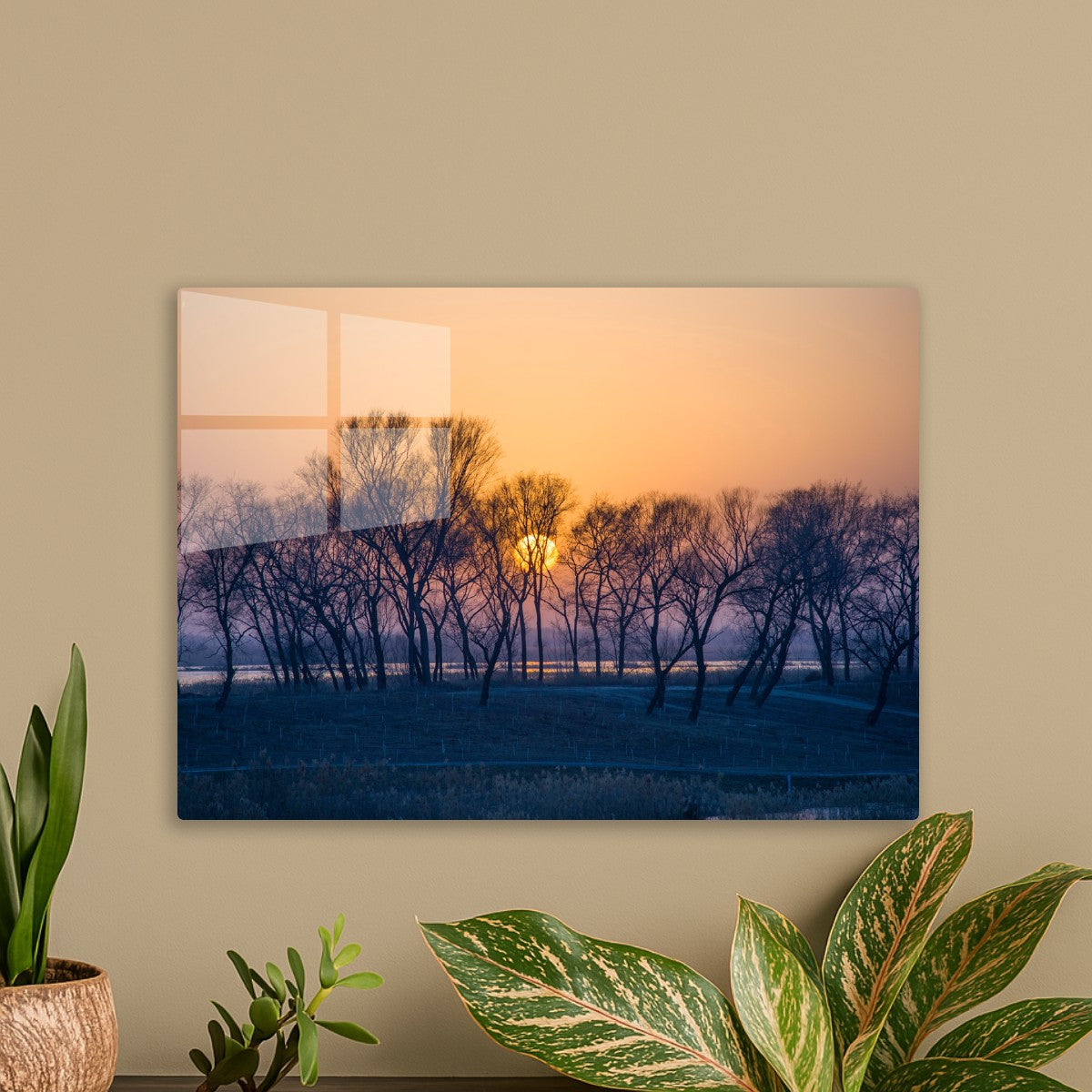 Winter Sunset Through Trees