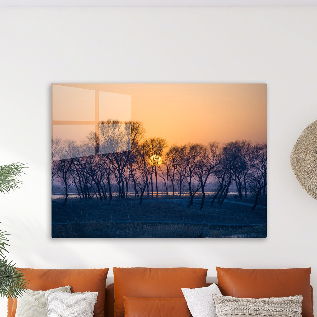 Winter Sunset Through Trees