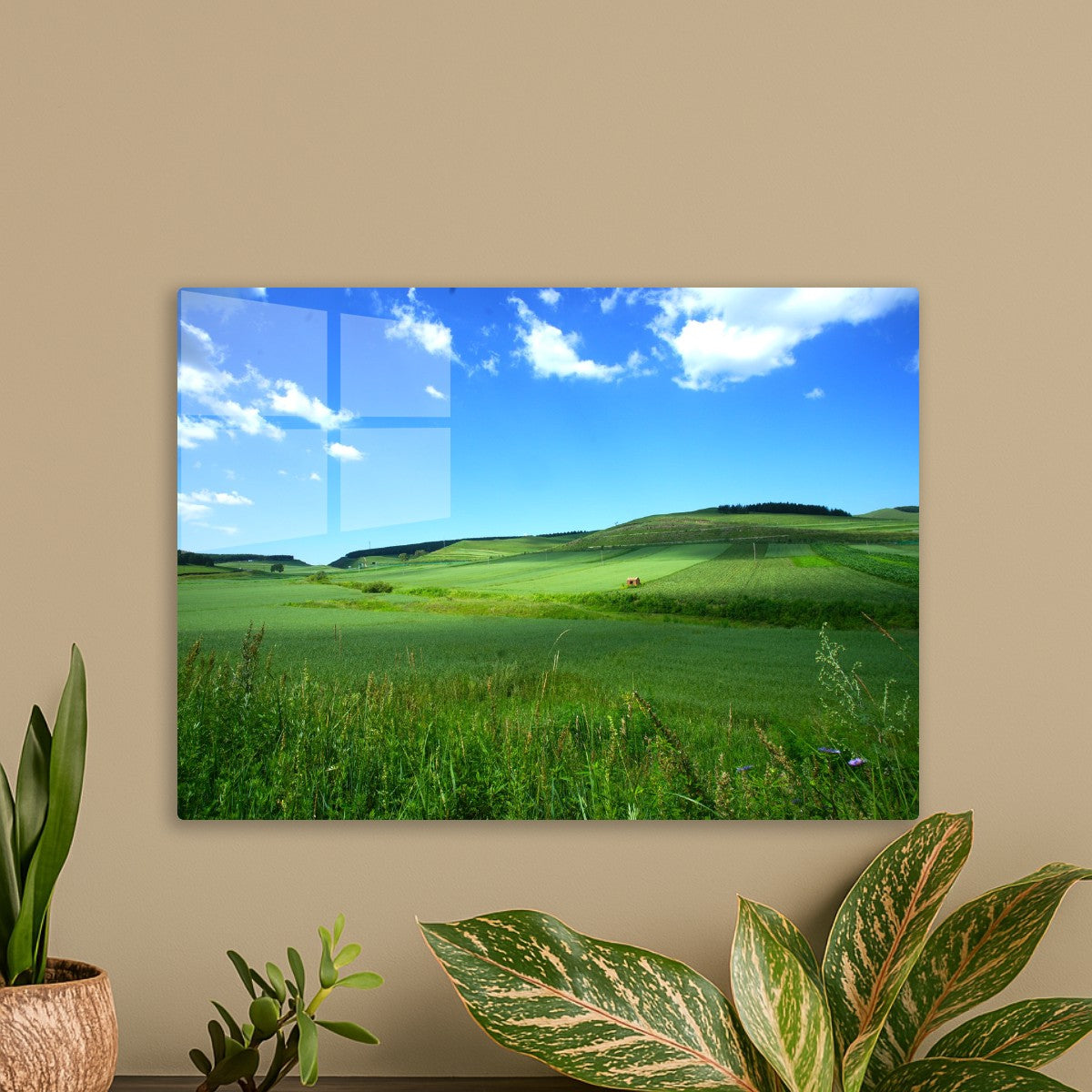 Green Rolling Hills Landscape