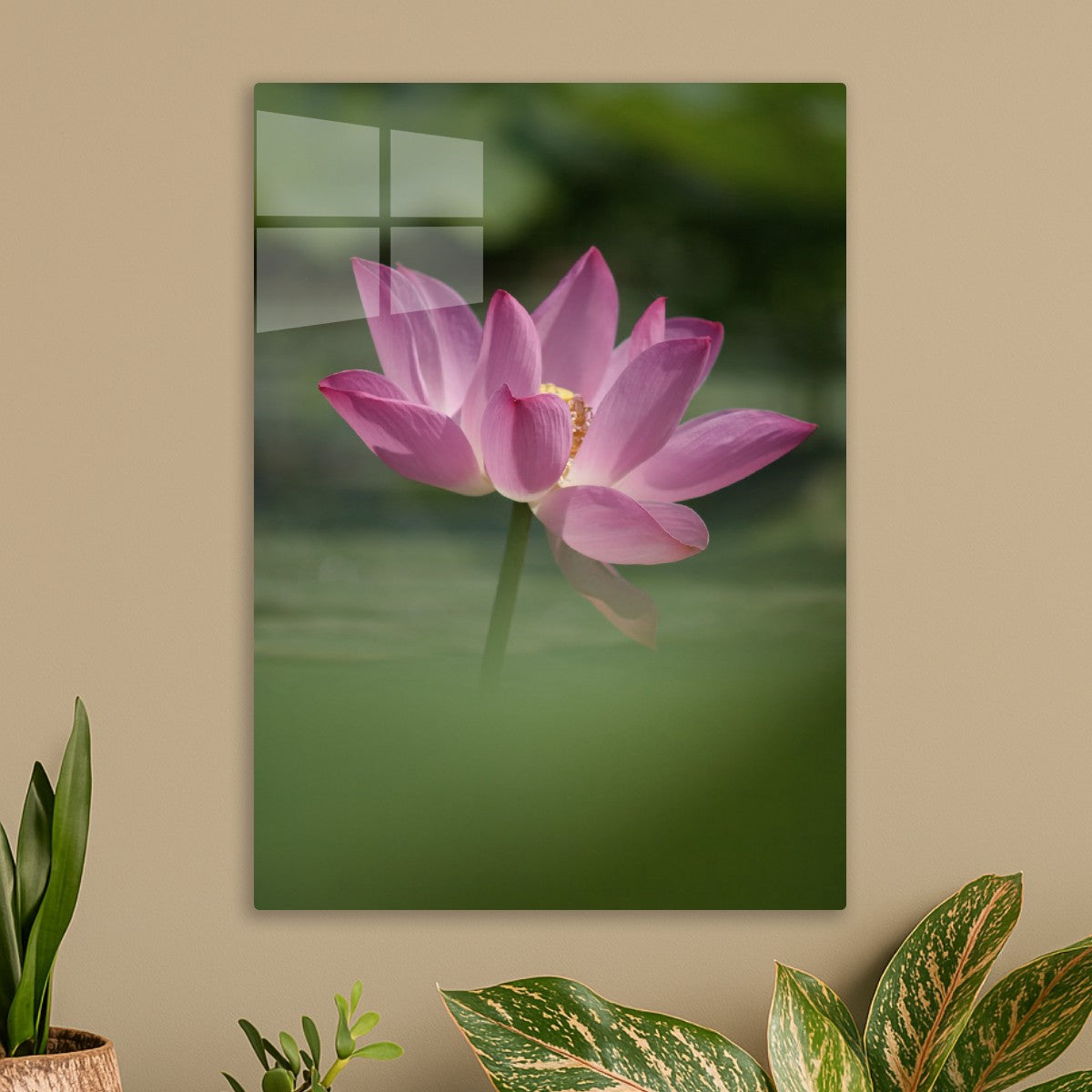 Sacred Pink Lotus Blossom