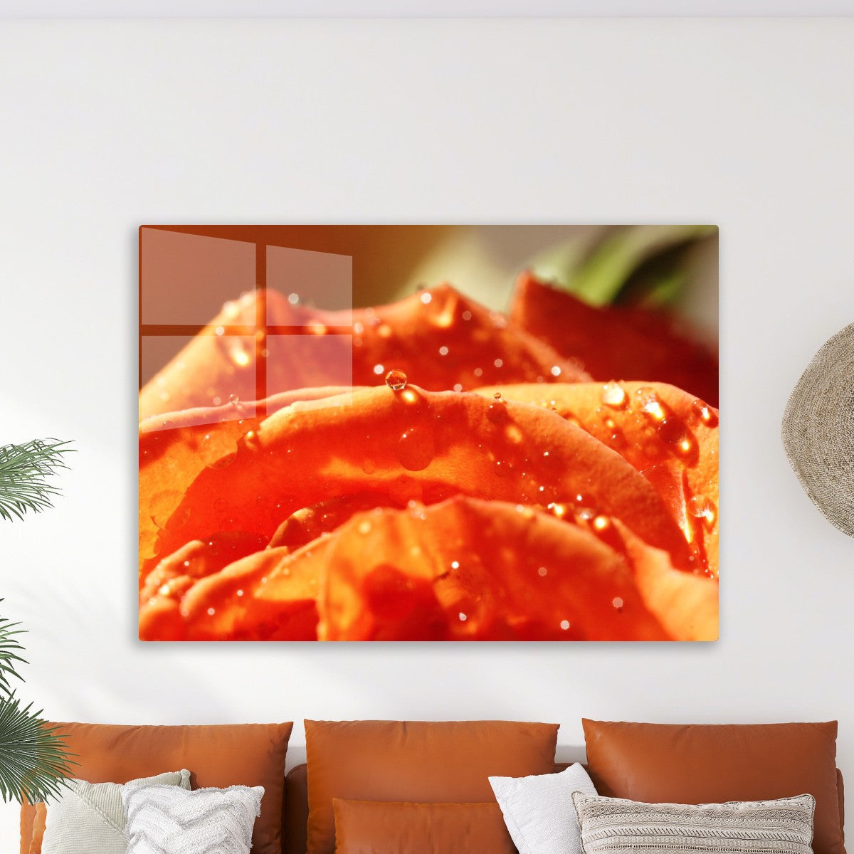 Sunkissed Orange Rose
