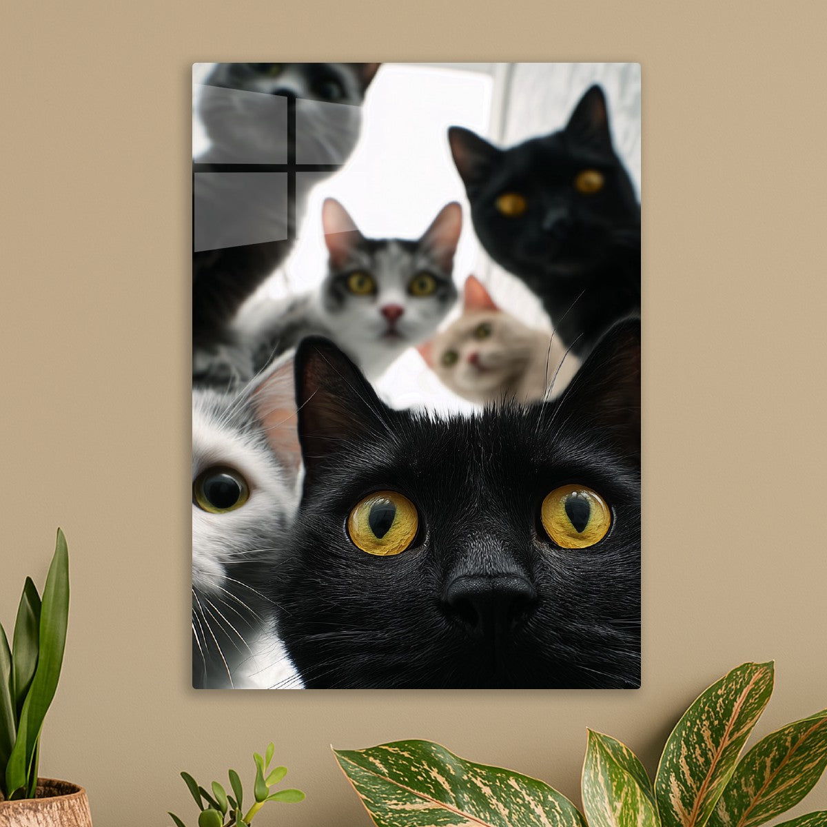 The Paw-parazzi Are Here