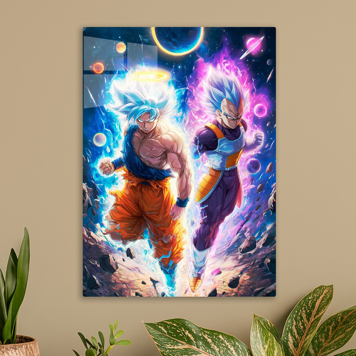 Goku and Vegeta, Dragon ball