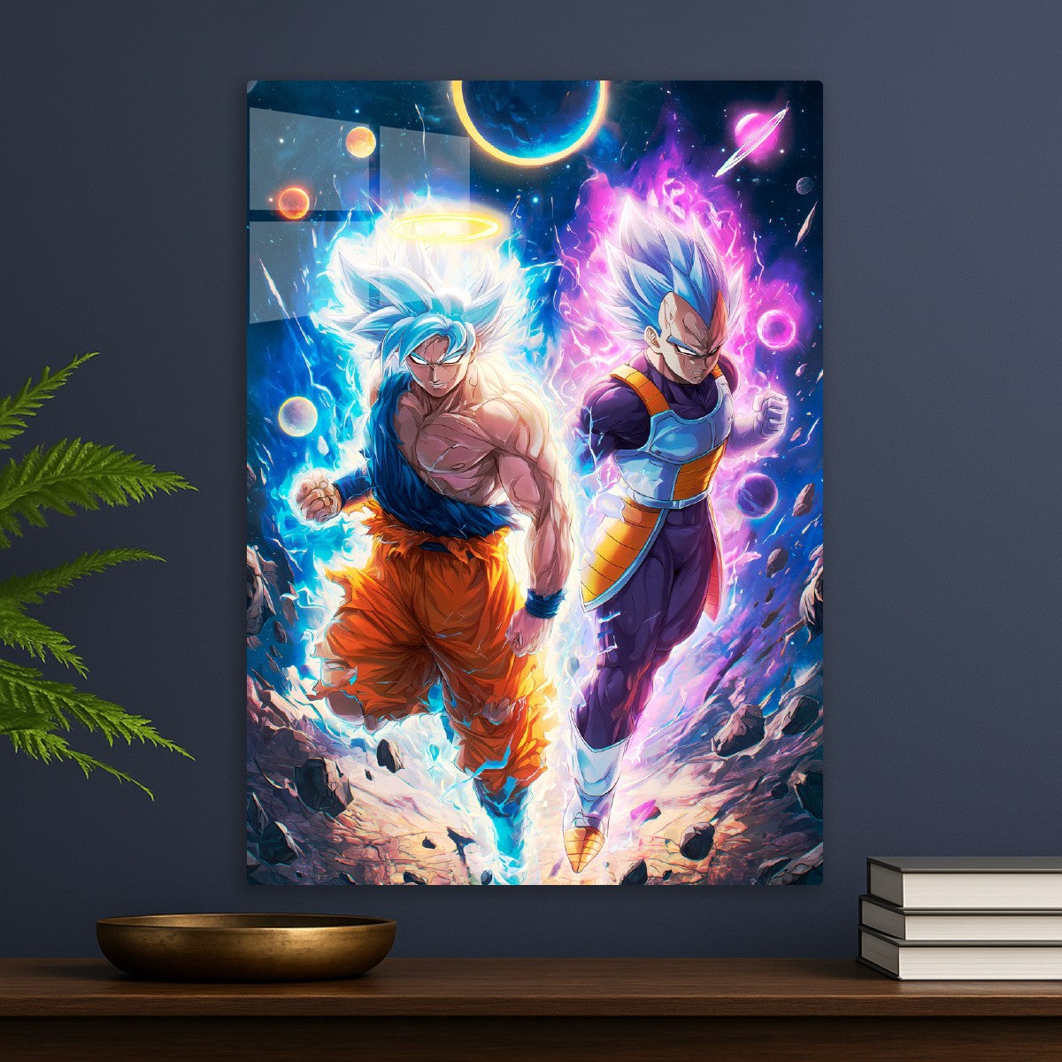 Goku and Vegeta, Dragon ball