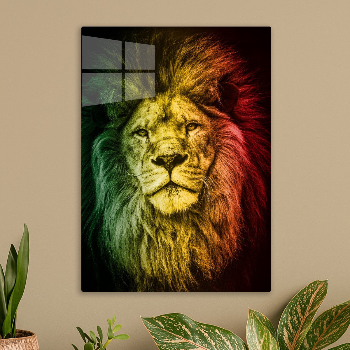 Rasta Lion