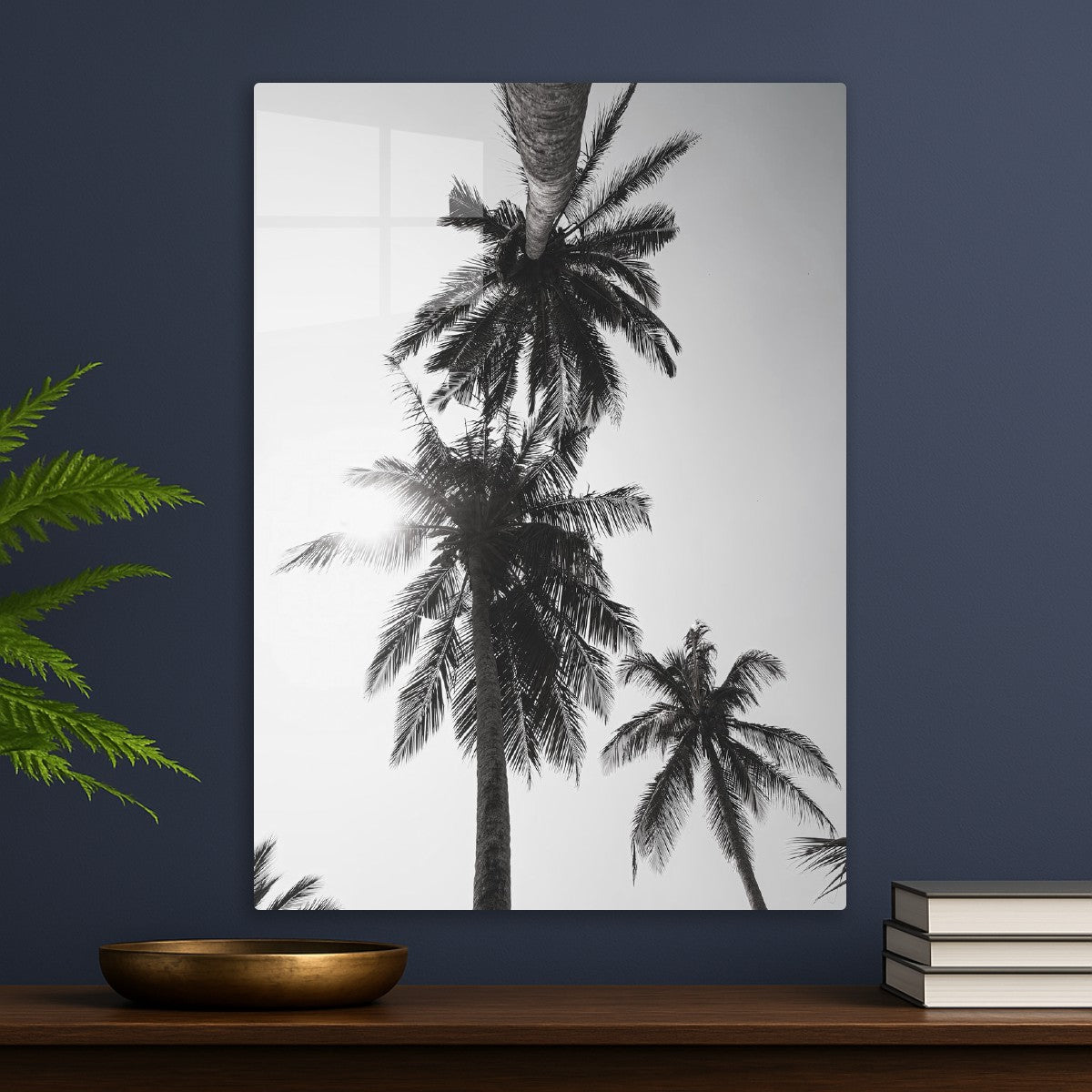 Palm trees