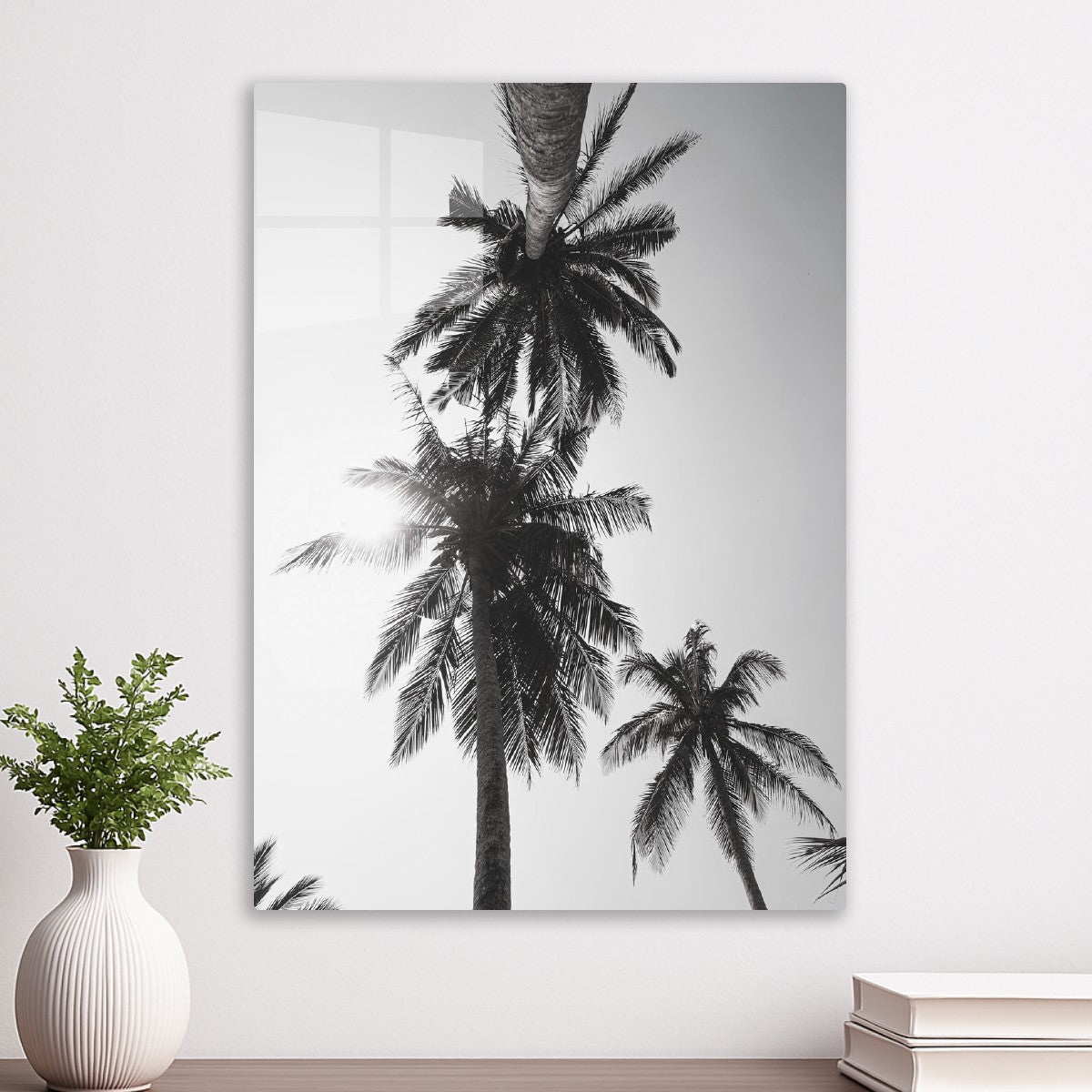 Palm trees
