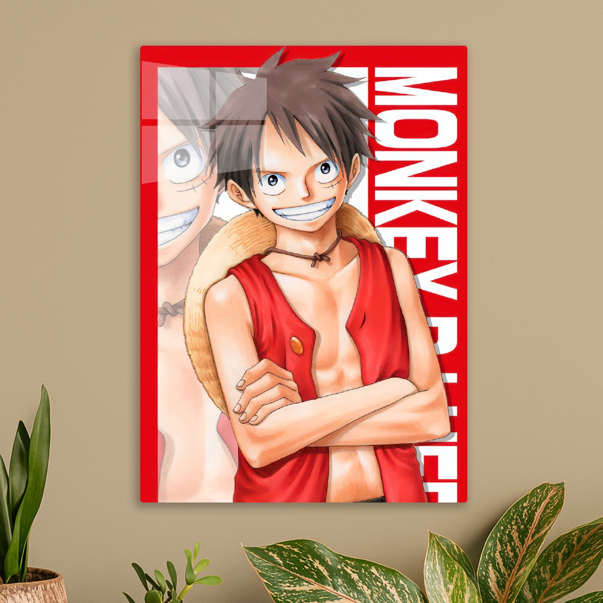 One piece Monkey D. luffy
