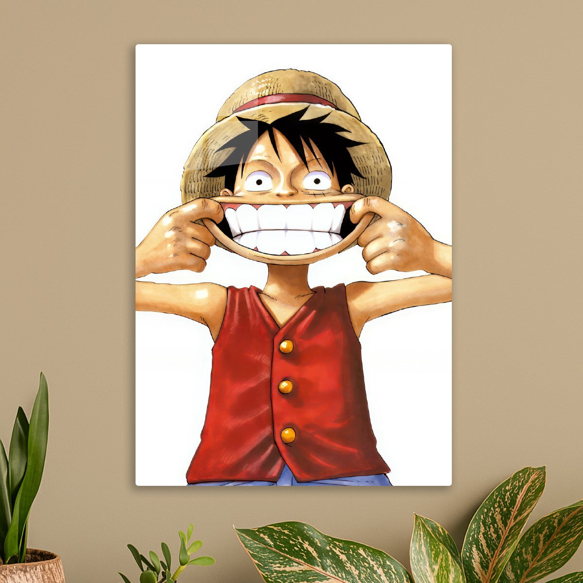 One piece Monkey D. luffy