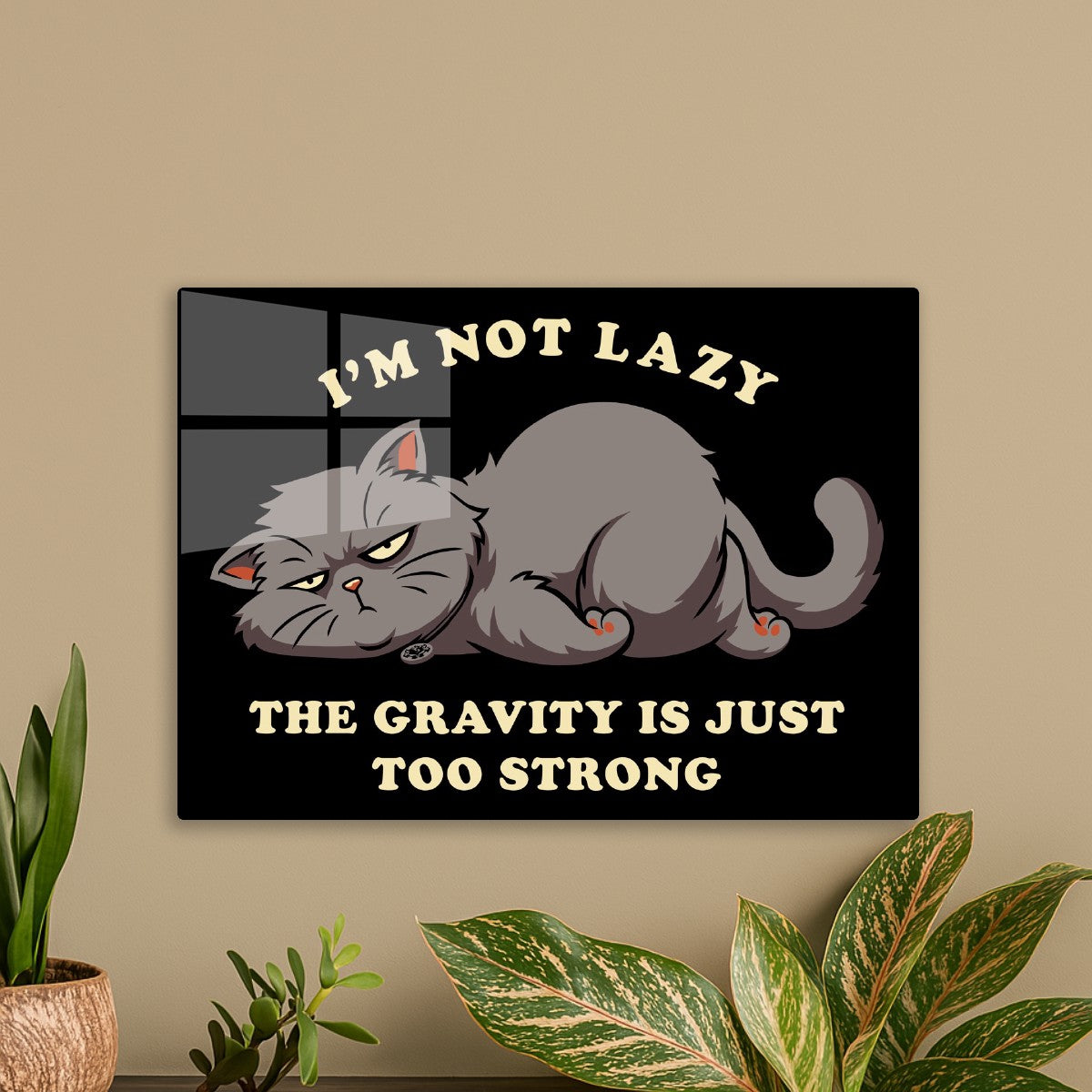 Lazy Cat