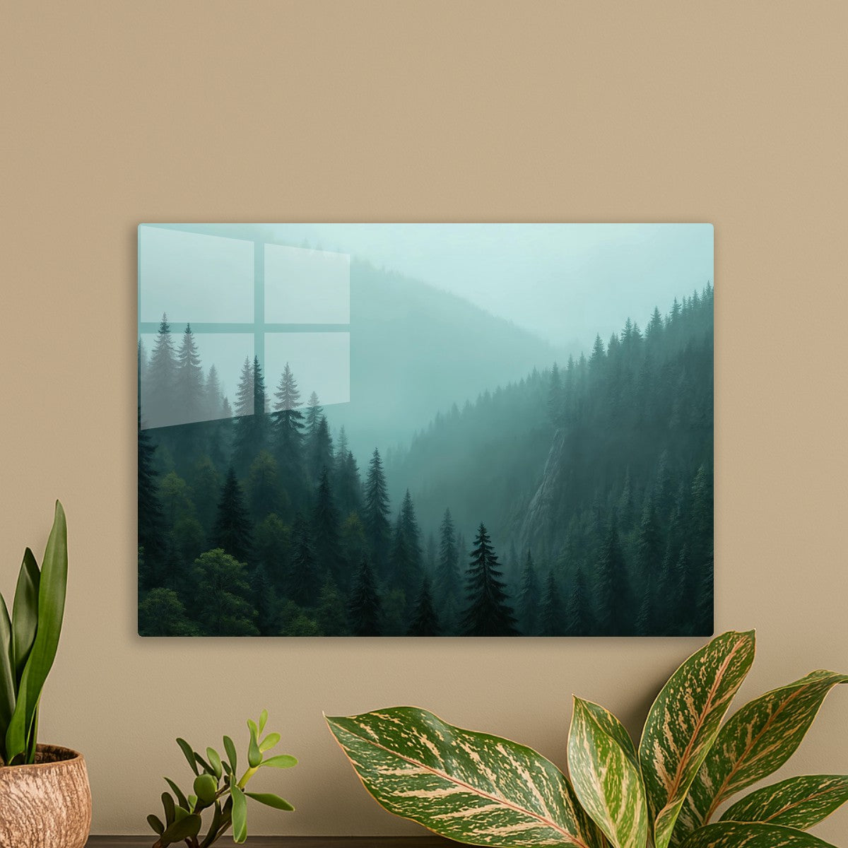 Forest with large pine trees