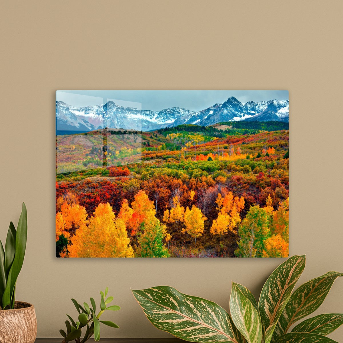 Mountains and forest in autumn