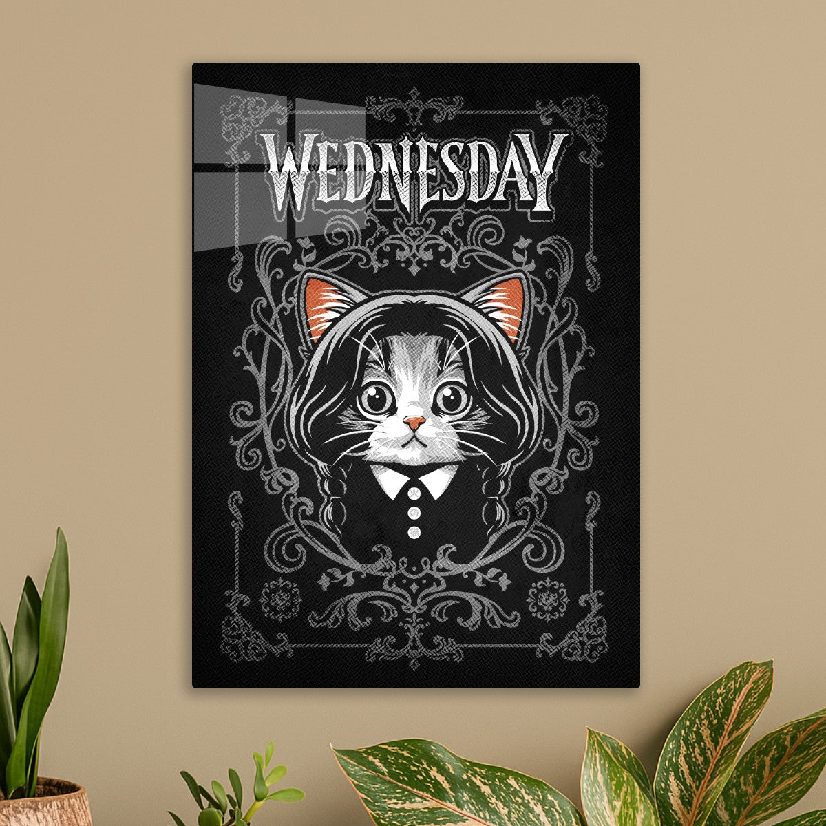 Wednesday Cute Cat