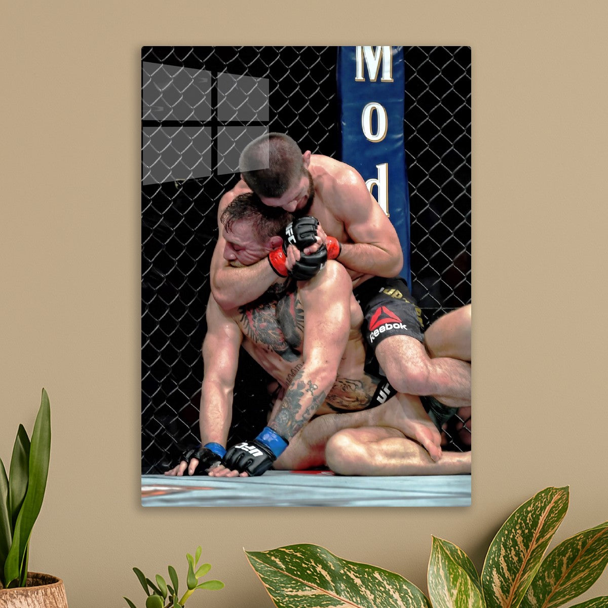 ufc fight leged