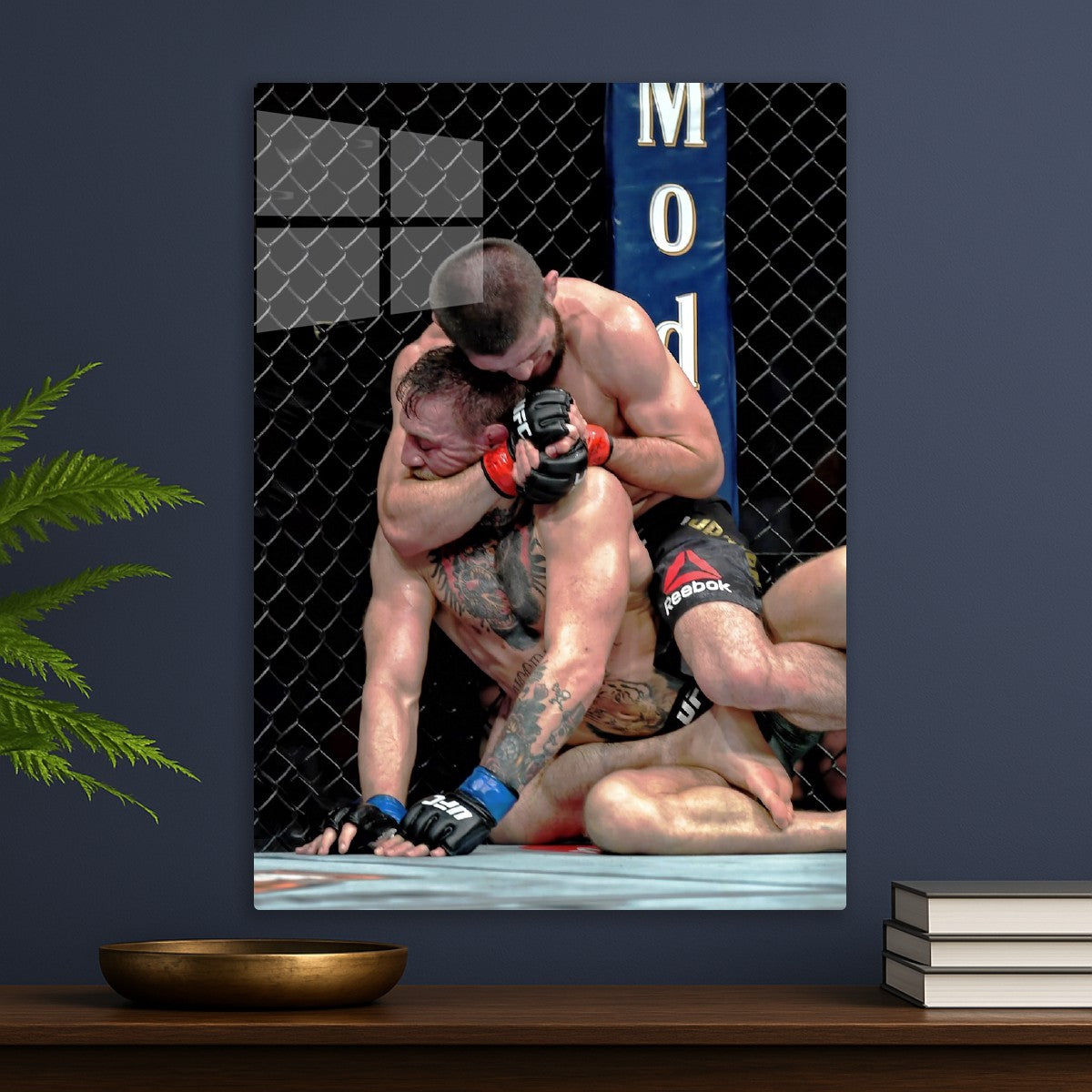 ufc fight leged