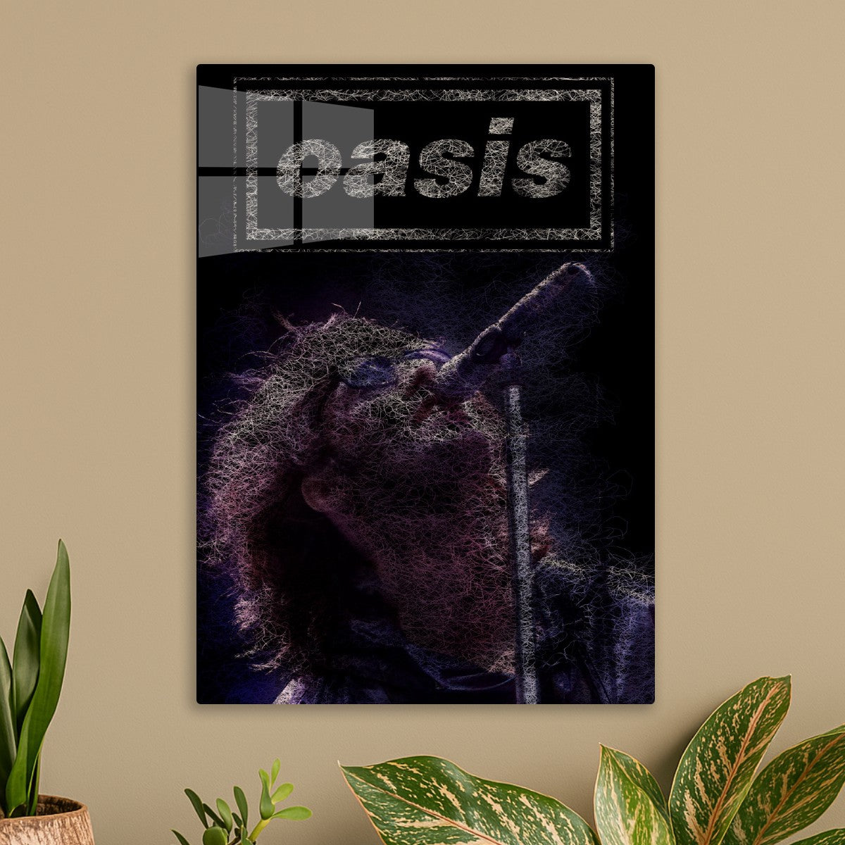 Oasis