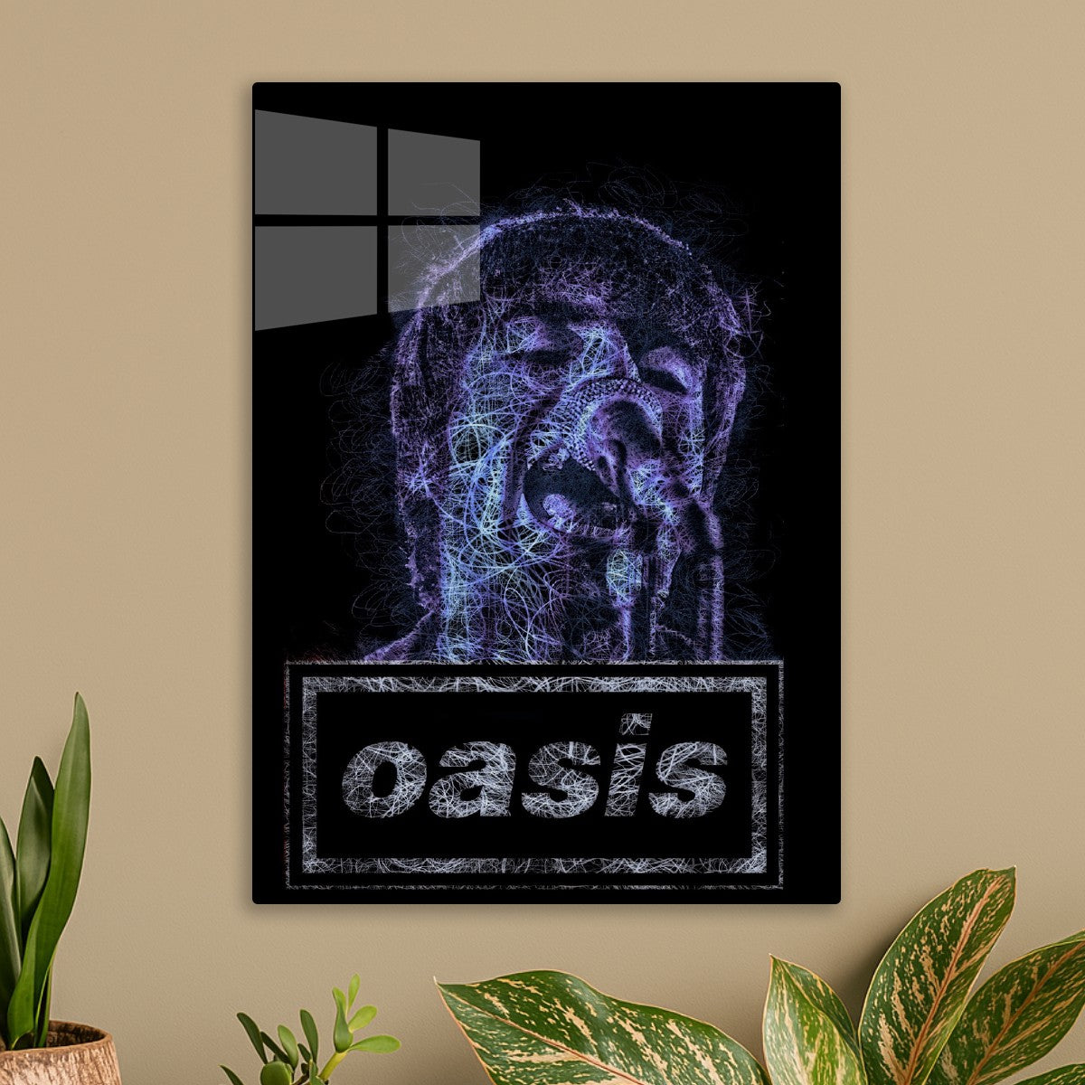 Oasis