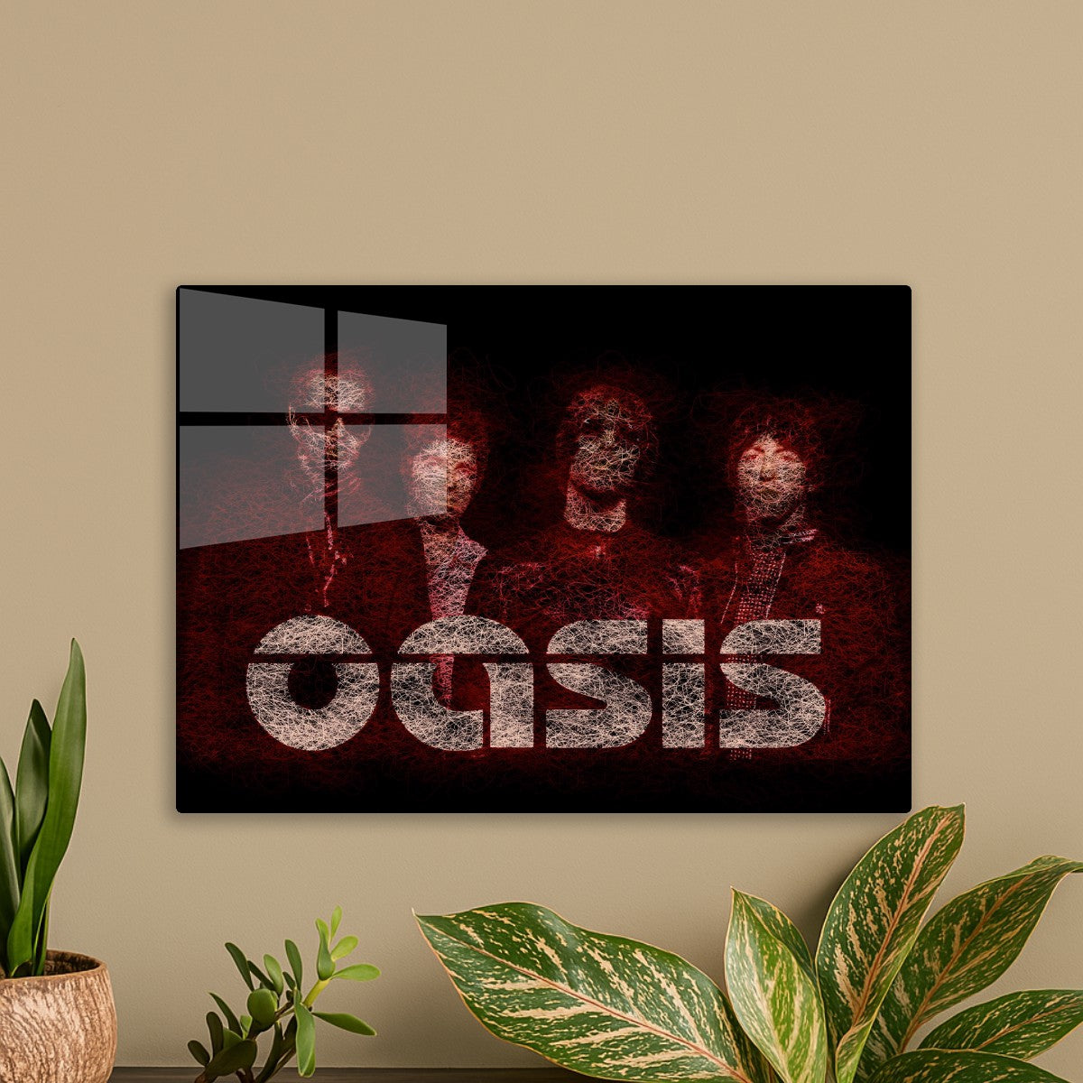 Oasis