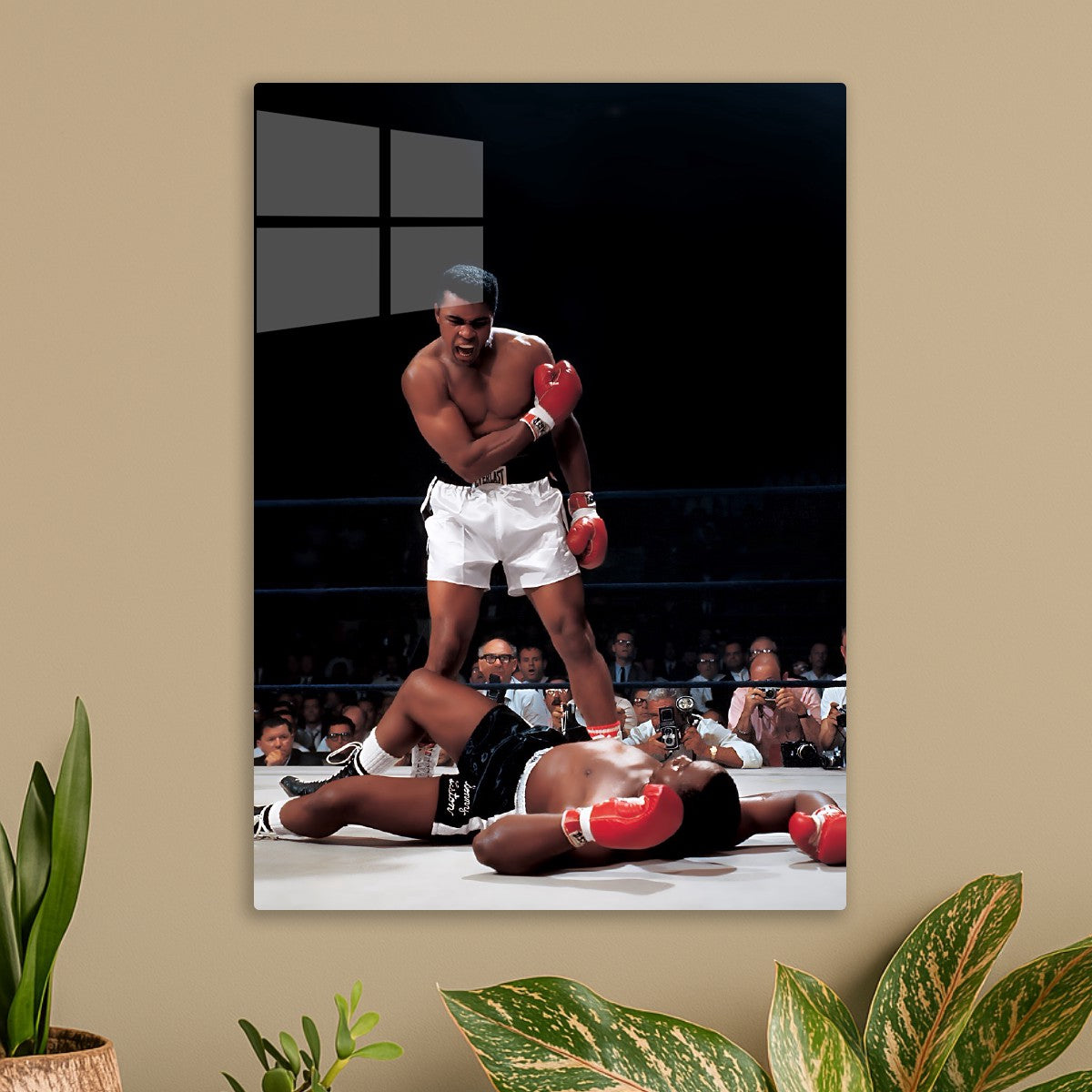 muhammad ali 