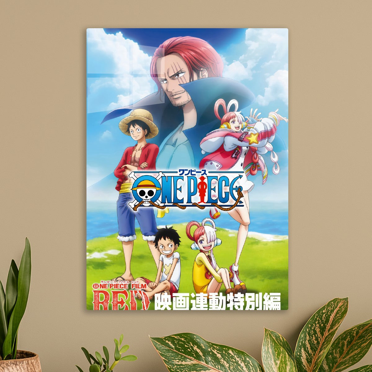 One piece 