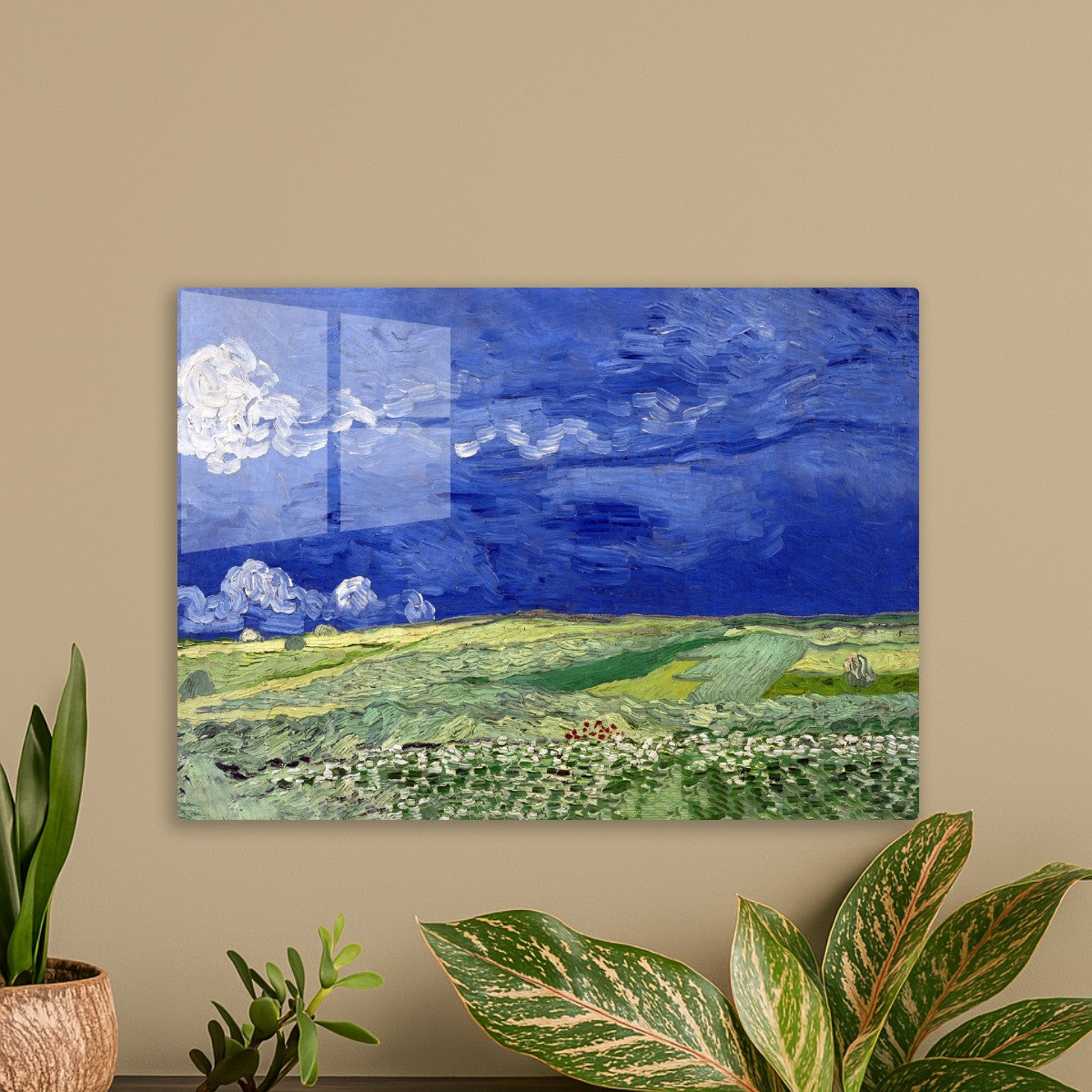 Wheatfield under thunderclouds