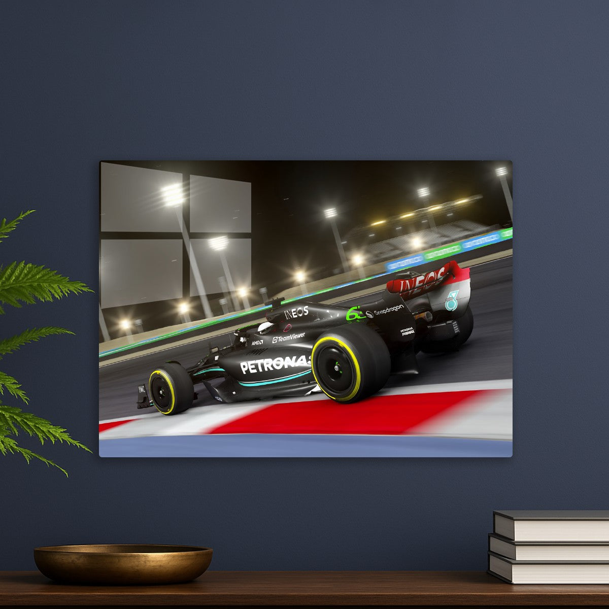 F1 Racing