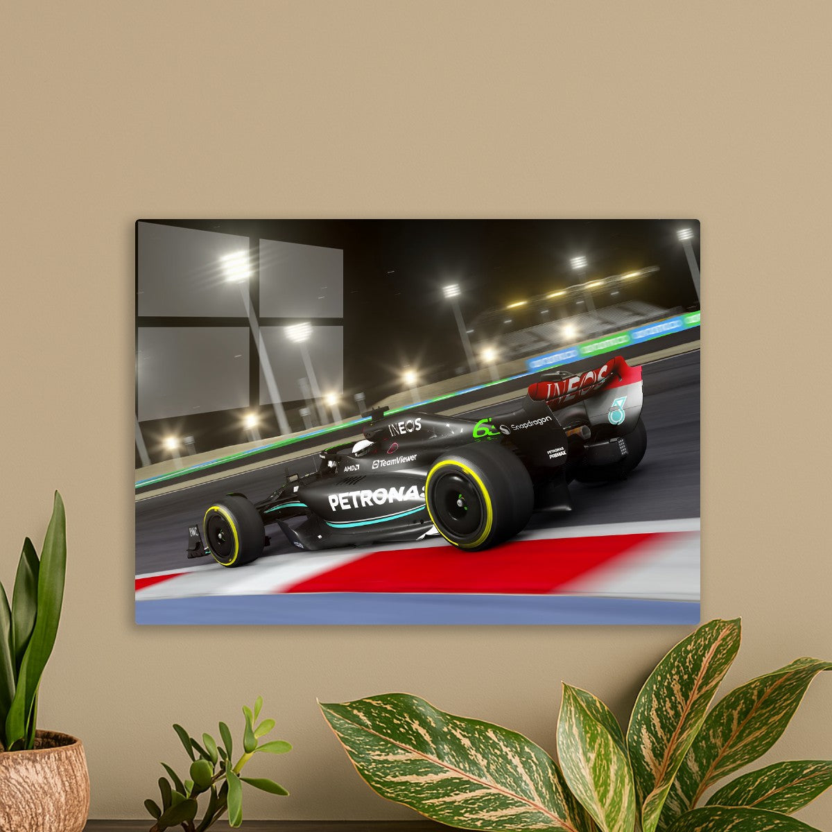 F1 Racing