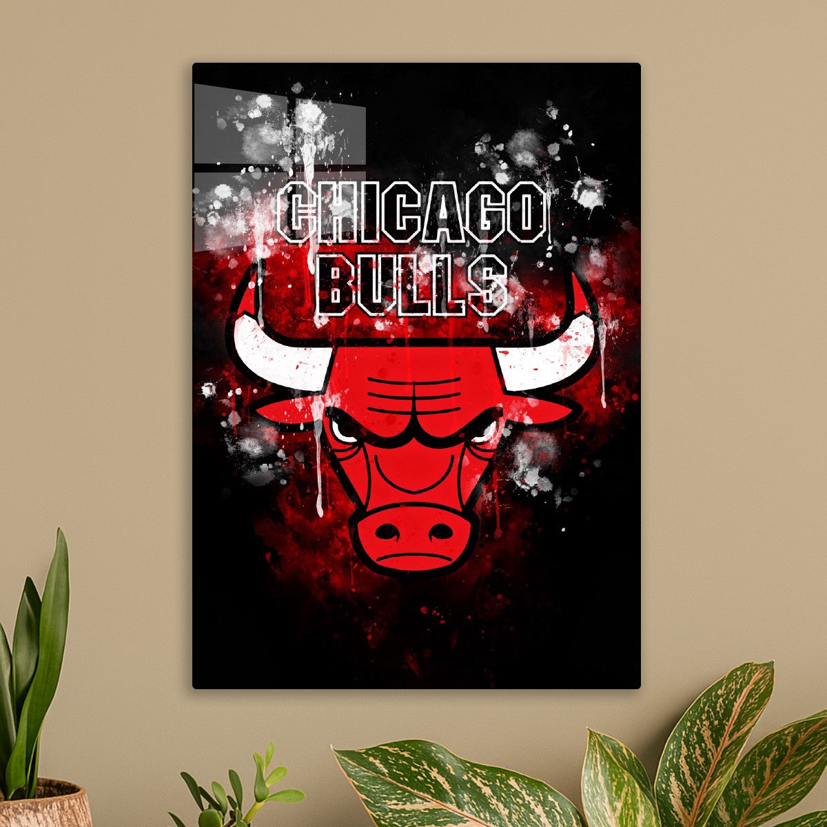 Chicago Bulls Basketball