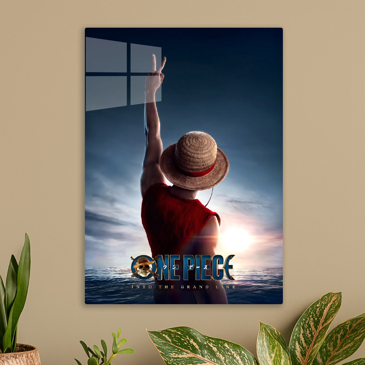 One Piece Live Action