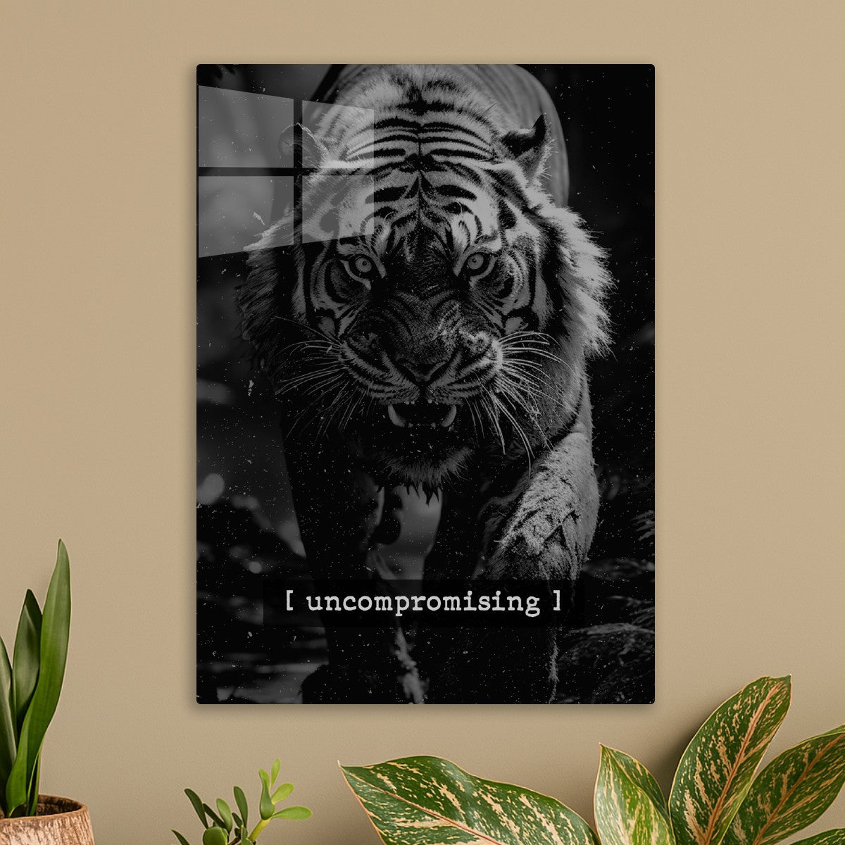 Uncompromising tiger