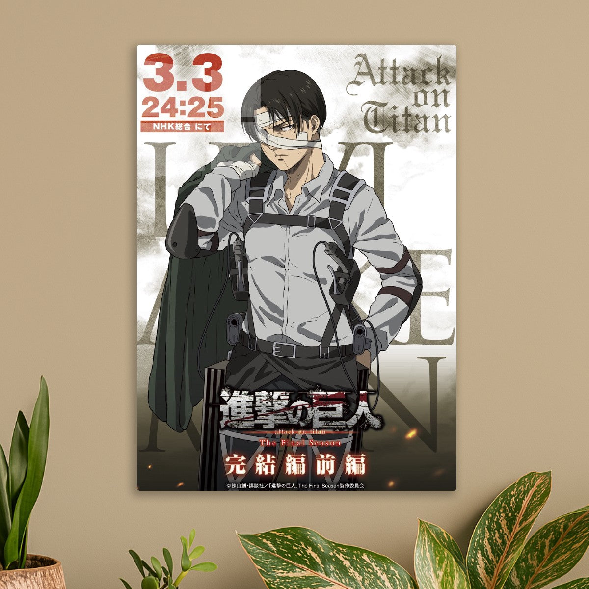 Levi Ackerman 
